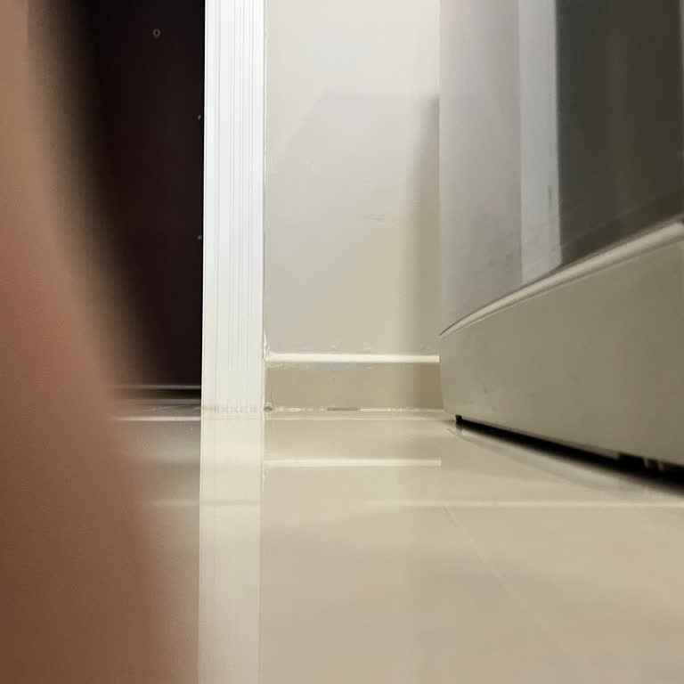 Göçük Gelen Bosch Serie 8 Makine İçin Hızlı Değişim Ve Özür Talebi!