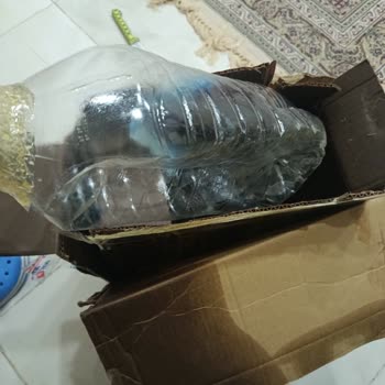 Aras Kargo Boş Koli Teslim Ederek 2 Bin TL Değerindeki Zeytinyağı Ürünümü Kayıp Gösterdi