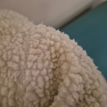 Dolap’ta Satıcının Yanıltıcı Beyanı Ve İade Reddi Sonucu 872 TL Mağduriyet