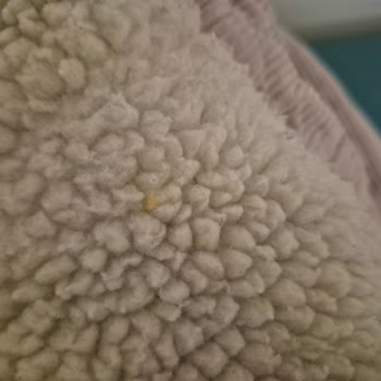 Dolap’ta Satıcının Yanıltıcı Beyanı Ve İade Reddi Sonucu 872 TL Mağduriyet