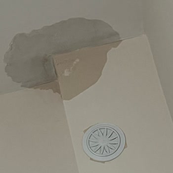 Çatı Ve Banyodaki Sürekli Su Sızıntısı Ve Çatlak Duvarlar