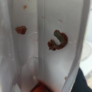 Vişne Suyunda Küf Ve Pıhtı Çocuk Sağlığını Tehdit Ediyor