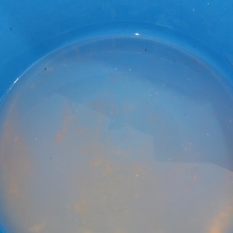 A101'de Gerçek Olmayan Himalaya Kaya Tuzu Satışı