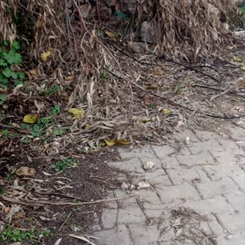 Kopmuş Kablo Nedeniyle Telefon Ve İnternet Hizmet Kesintisi Acil Onarım Talebi