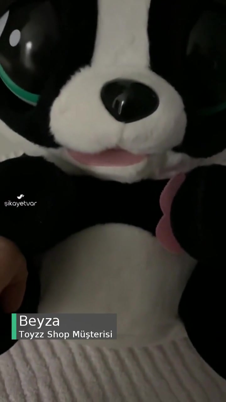 Toyzz Shop Rize Yo-Yo Panda Hemen Bozuldu! videonun kapak resmi