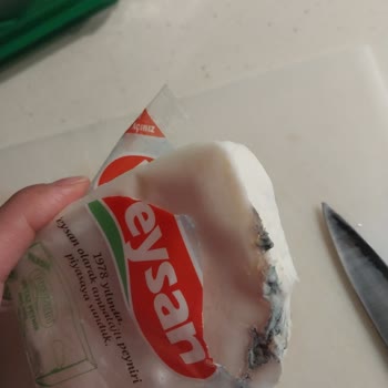 Peysan Beyaz Peyniri Yeşil Küflenmiş, Geri Dönüş Bekleniyor