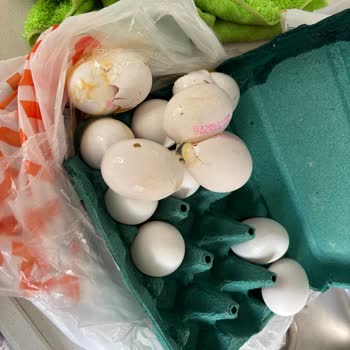 Migros Hemen'de Kırık Yumurta Kutusu Ve Cevapsız Müşteri Hizmeti