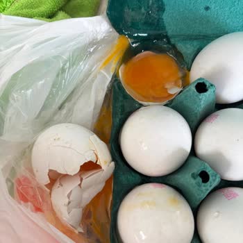 Migros Hemen'de Kırık Yumurta Kutusu Ve Cevapsız Müşteri Hizmeti