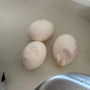 Migros Hemen'de Kırık Yumurta Kutusu Ve Cevapsız Müşteri Hizmeti