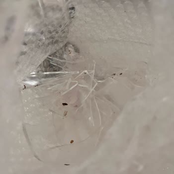 Kırık Cam French Press İçin Para İadesi Ve Özür Talebi