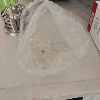 Kırık Cam French Press İçin Para İadesi Ve Özür Talebi