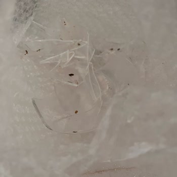 Kırık Cam French Press İçin Para İadesi Ve Özür Talebi