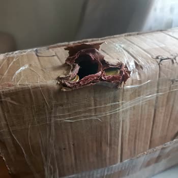 Hasarlı Sirke Teslimi Ve Kuryenin Yardımcı Olmayan Tutumu