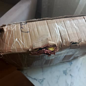 Hasarlı Sirke Teslimi Ve Kuryenin Yardımcı Olmayan Tutumu