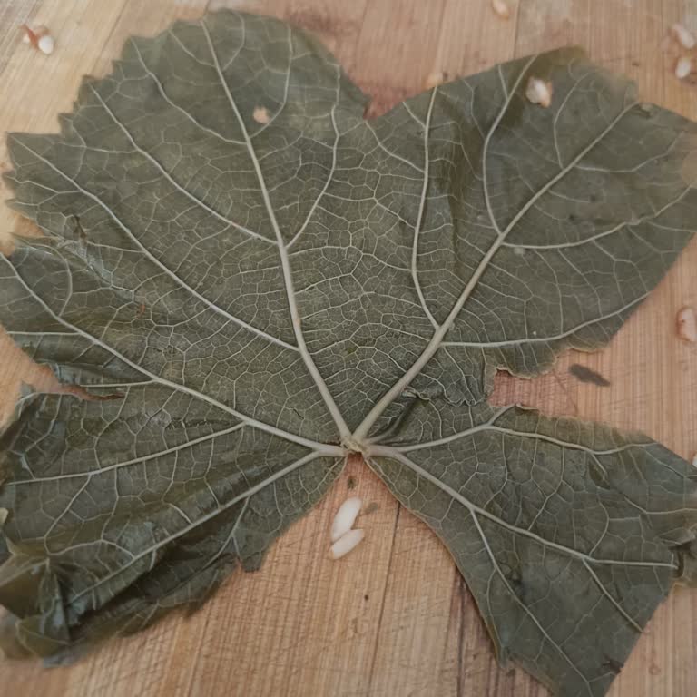 @naturellsalamur Yanıltıcı Reklam Ve Kalitesiz Üzüm Yaprağı Ürünü İçin Tam İade Talebi