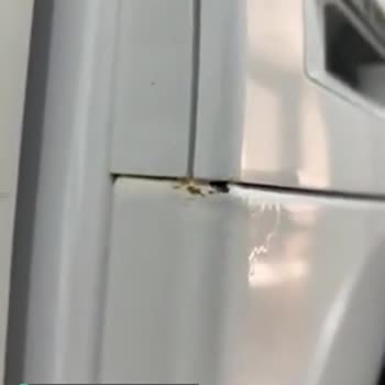 WGA141X1TR Bosch Çamaşır Makinesi Paslanma, Kabarma Sorunu