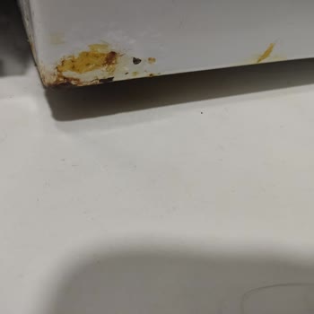 Grundig Çamaşır Makinesinde Garanti Sonrası Gövde Paslanması