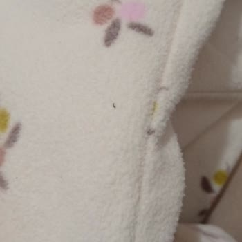 H&M Muflon Ceketlerde İlk Yıkamada Şiddetli Tüylenme Ve Kalite Şikayeti