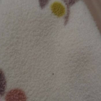 H&M Muflon Ceketlerde İlk Yıkamada Şiddetli Tüylenme Ve Kalite Şikayeti