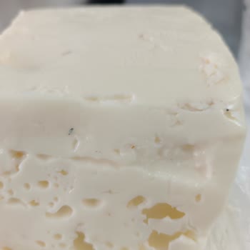 Ünal Beyaz Peynirde Yabancı Cisimler