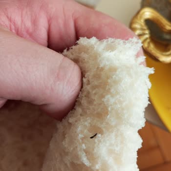 Kardeşler Fırın | Gürpınar Ekmeğin İçinden Karınca Çıktı