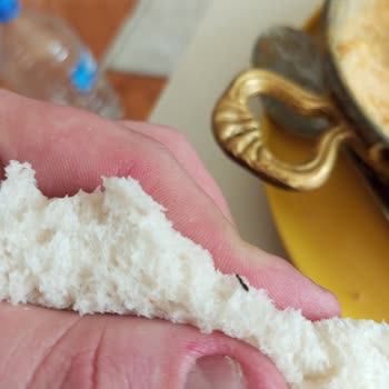 Kardeşler Fırın | Gürpınar Ekmeğin İçinden Karınca Çıktı