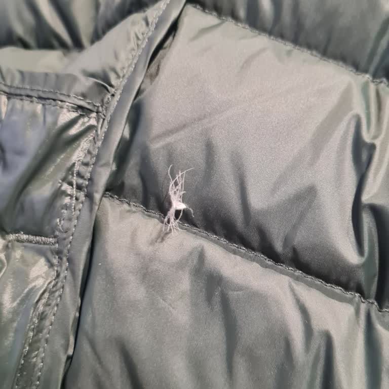 Intersport Kaz Tüyleri Dökülen Mont İçin İade Talebi