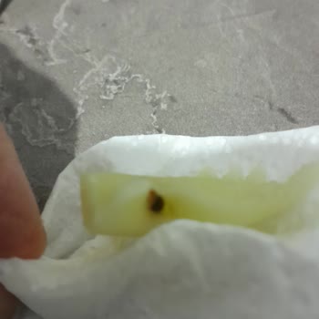 Getir'den Gelen Üründe Yabancı Madde!