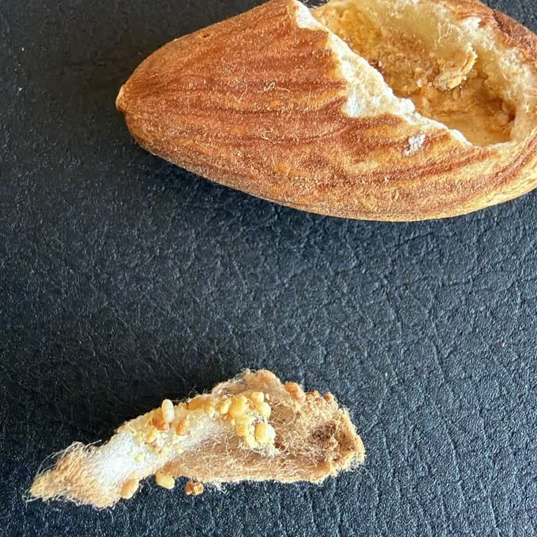 Migros Çiğ Bademde Pamuksu Doku, Hijyen Endişesi Ve Yetersiz Müşteri Desteği