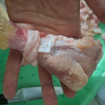 Migros Kars Şubesinde Banvit Piliç Baget'in Koyulaşmış Ve Kurumuş Satışı