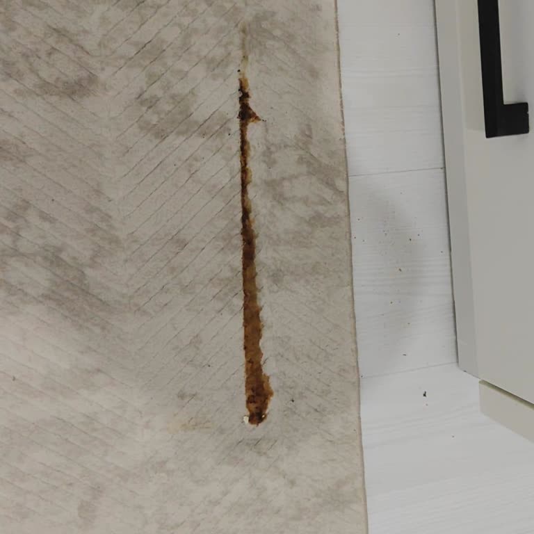 Kumtel Fırın Arızalı, Servis Dikkatsizliği Halı Kirletti