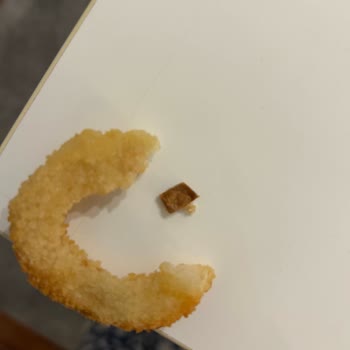 Feast Dondurulmuş Soğan Halkasında Karton Parçası Çıktı Ve Sağlık Endişesi