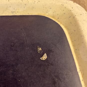 Köfteci Ramiz’de Köfte İçinde Plastik Parça: Çocuk Sağlığı Ve Hijyen Endişesi