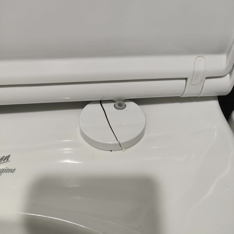 Bien Klozet Kapağı Menteşesi Kırıldı, Yedek Parça Temin Edilemiyor