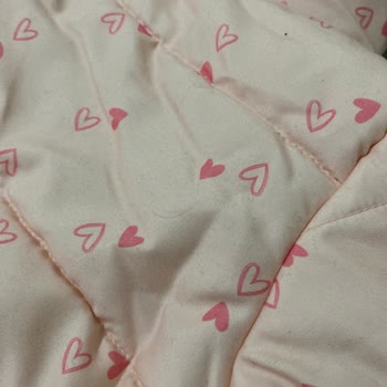 Astronot Tulum Tek Günde Toz Çekti, Hijyen Endişesi