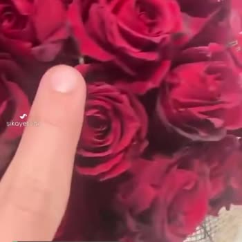 Hızlı Çiçek | Hizlicicek.com 51 Adet Gül Buketi Görsele Uygun Gelmedi!