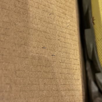 Kısa Kullanımda Delik Açan Asics Ayakkabı İçin Garanti Reddi Ve Ücret İadesi Talebi