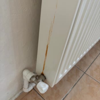 Isınmayan Ev Ve Yüksek Fatura: Peteklerde Sızıntı Ve Kombi Arızası