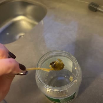 Fide Köz Patlıcan Konservesinde 10 Santimetre Uzun Tahta Çubuklar Çıktı