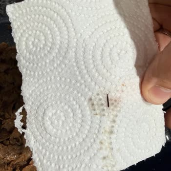 BİM Et Döner Paketi İçinde Böcek Bulunması Ve Sağlık Riski