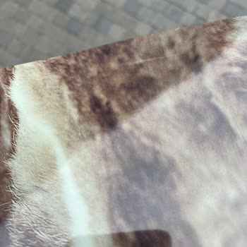 SPX Bakıma Verdiğim Snowboard Çiziklerle Geri Döndü, Mağaza Çözüm Sunmadı