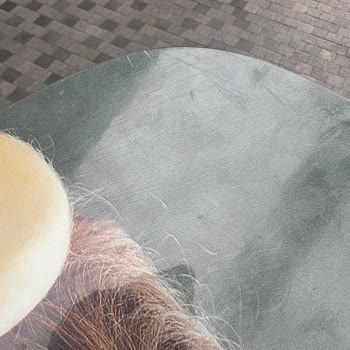 SPX Bakıma Verdiğim Snowboard Çiziklerle Geri Döndü, Mağaza Çözüm Sunmadı