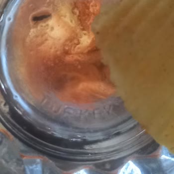 Kayseri Marketten Alınan Cipso Cipsinde Böcek Bulunması: Tüketici Sağlığı Tehlikede