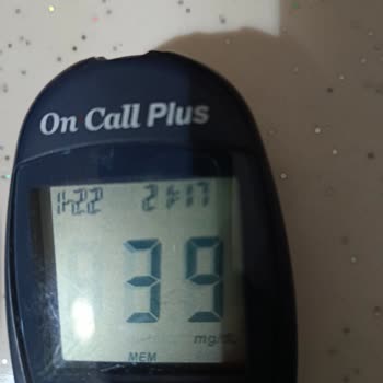 Apidra İnsülininin Etkisindeki Değişkenlik Ve Sürekli Hipoglisemi Sorunu