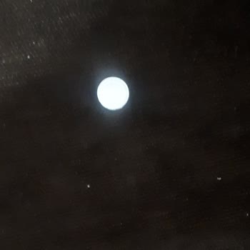 Bosch Buzdolabında Eksik Parça Ve Motor Gürültüsü, Değişim Talebim Reddedildi