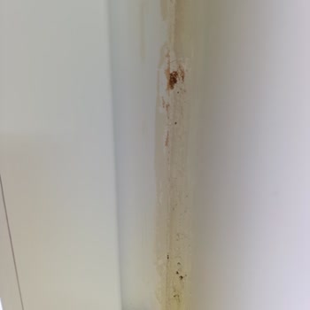 Azem İnşaat’ta Gecikmeli Teslim, Düşük Malzeme Kalitesi Ve Su Sızıntısı