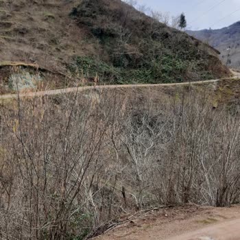 Şenocak Köyü'nde Sürekli Elektrik Kesintileri Ve Eski Hatların Yenilenmesi Talebi