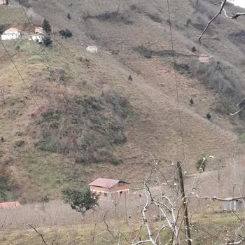 Şenocak Köyü'nde Sürekli Elektrik Kesintileri Ve Eski Hatların Yenilenmesi Talebi