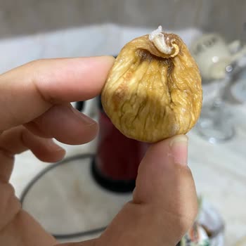 Kırdağ Kuru İncirde Kurtlar Görüldü Gıda Güvenliği Sorunu