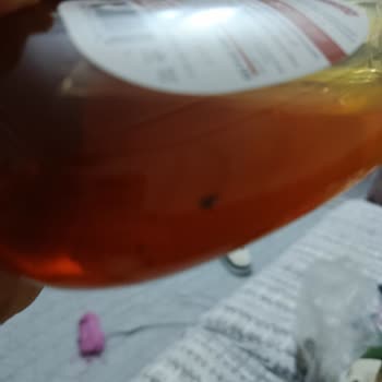 Balparmak Balında Böcek Tespiti, Hijyen Ve Güven Sorunu